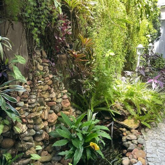 Jardim interno com muro de pedras, samambaias e bromélias